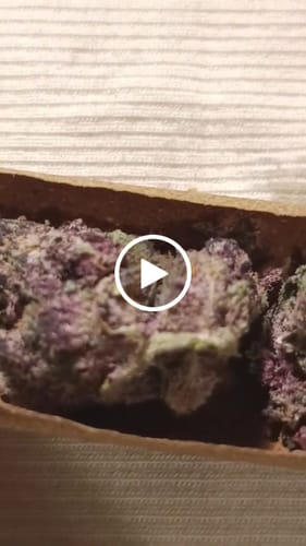 Customer video review of Super Silver Lemon Haze - Minis - 14 Grams - Sativa