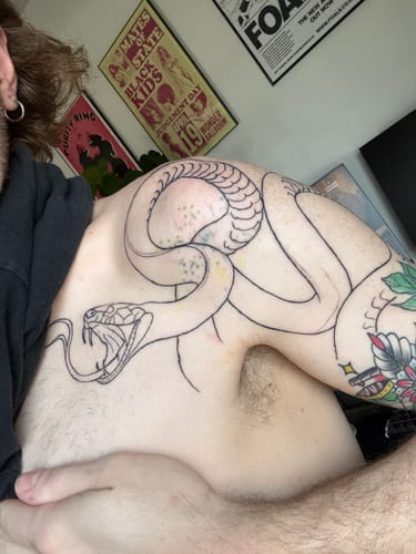 Reviewer shows the fresh outline of a snake tattoo on their shoulder, applied after using the Painless Tattoo Numbing Cream.
