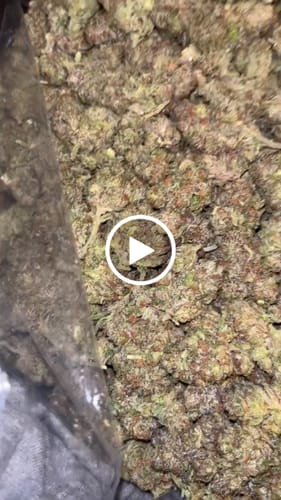 Customer video review of Cheap THCA Flower Pound