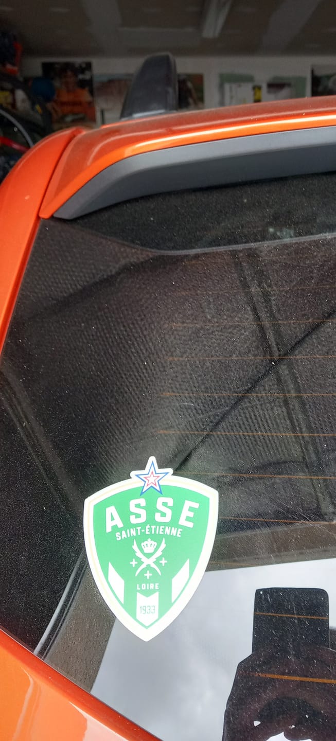 Customer photo review of Sticker logo Saint Etienne foot