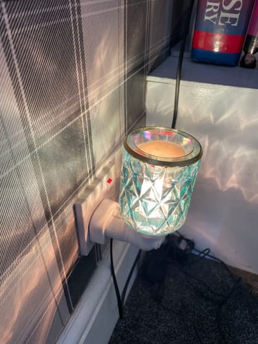 Customer photo review of Blueberry & Vanilla Wax Melt