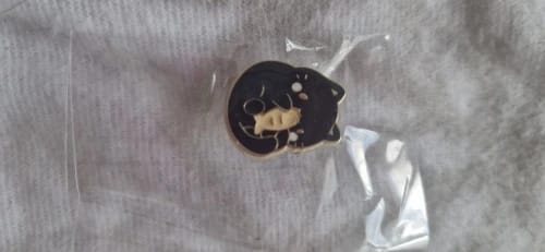 Customer photo review of Cute Tiny Cat Enamel Pins
