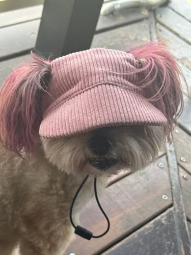 Customer photo review of DOG HATS