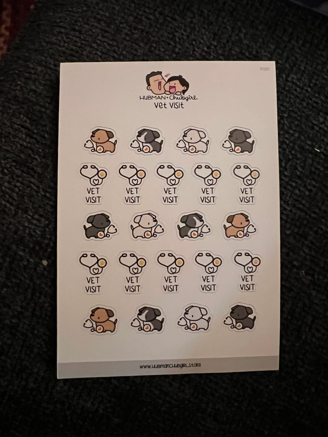 Customer photo review of Vet Visit Planner Stickers