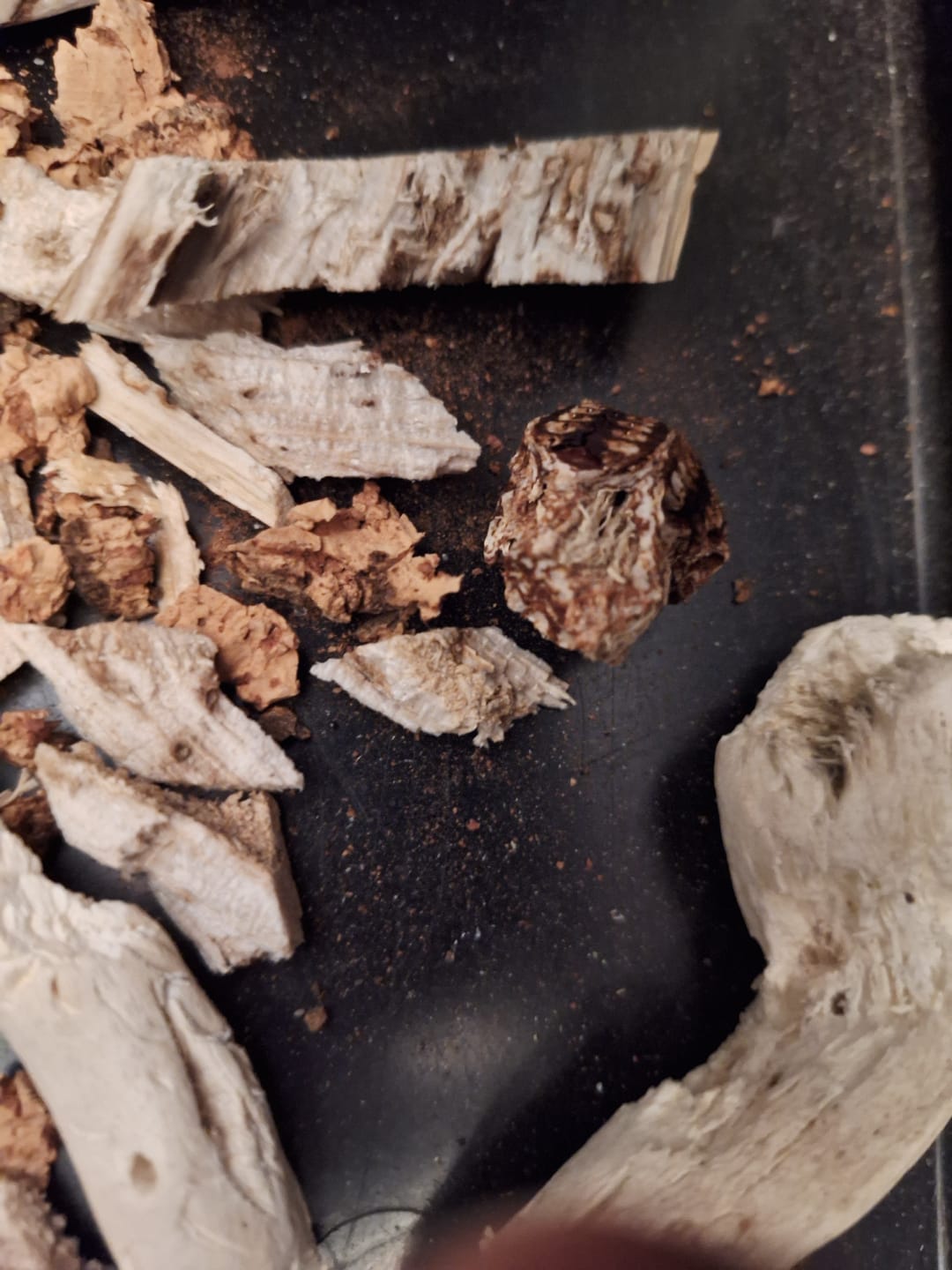 Customer photo review of Yucca Slices - 20 Pack