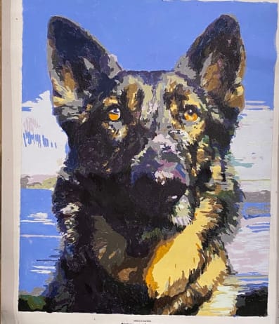 Customer photo review of Custom Paint By Numbers - Personalized Pet Portraits