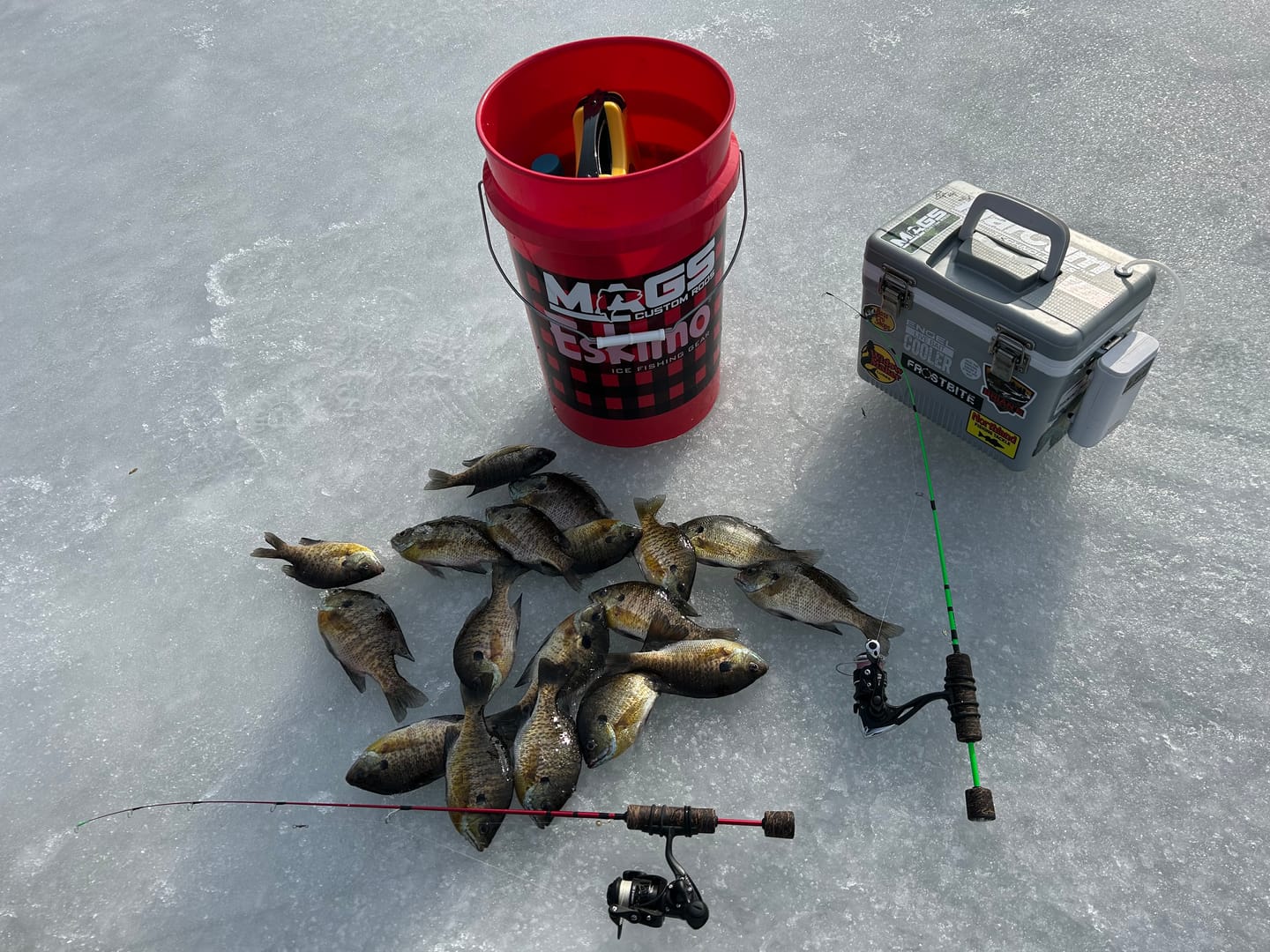 Customer photo review of Custom Carbon Ice Rod