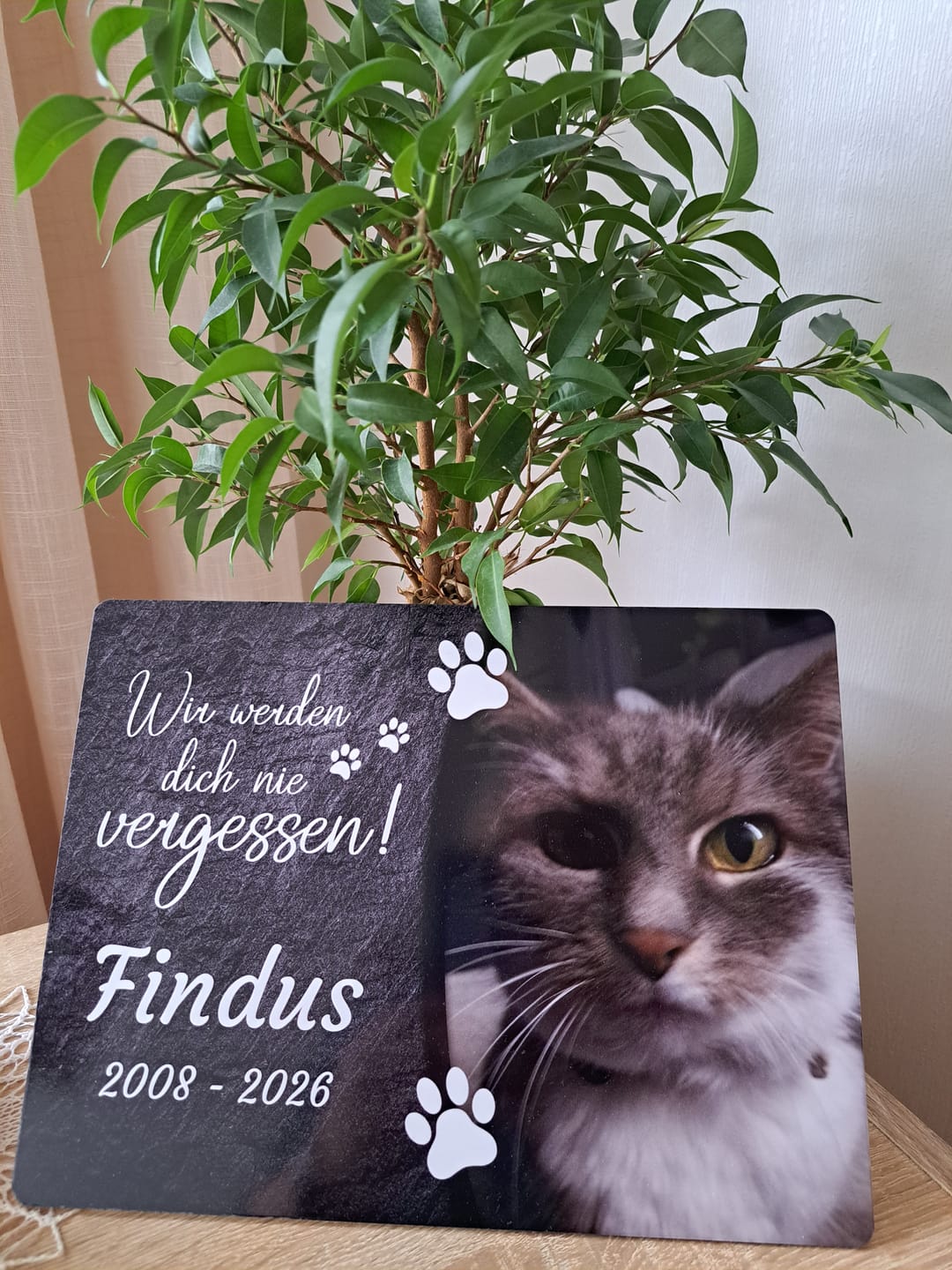 Customer photo review of Katzen Gedenktafel mit Foto & Spruch (UV- & Wetterfest)