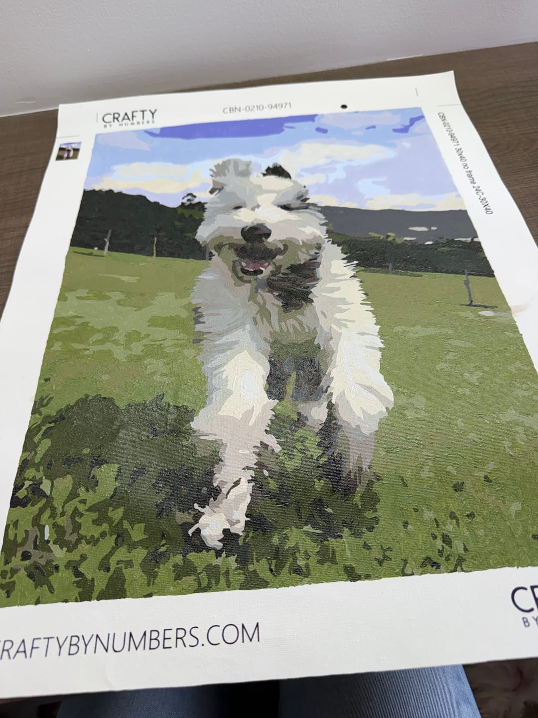 Customer photo review of Custom Paint by Numbers Kit