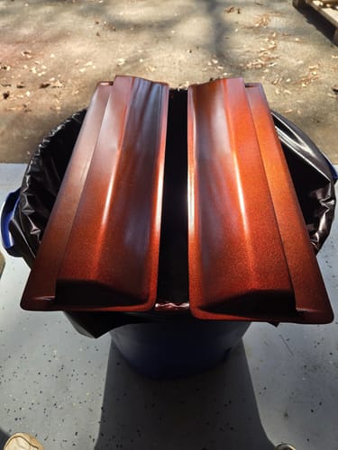 Customer photo review of Scorched Apple Spray Can