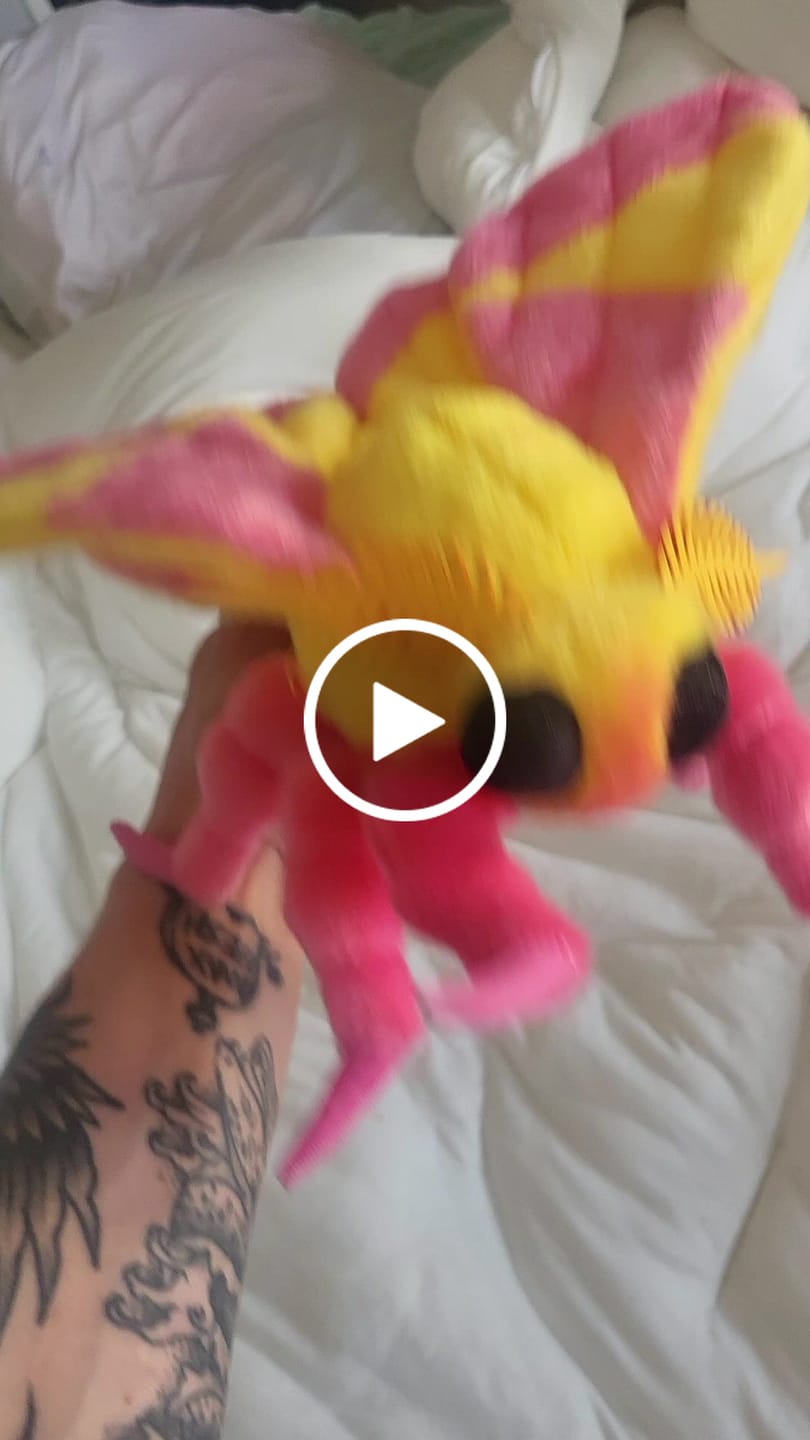 Customer video review of Rosy Maple Moth Soft Stuffed Plush Toy
