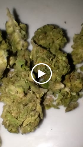Customer video review of Birthday Cake - Hybrid