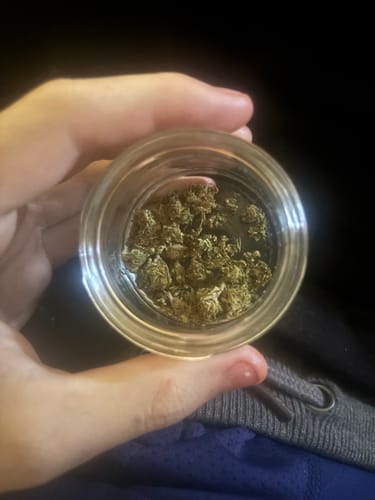 Customer photo review of Dank Push Pop THCA Flower