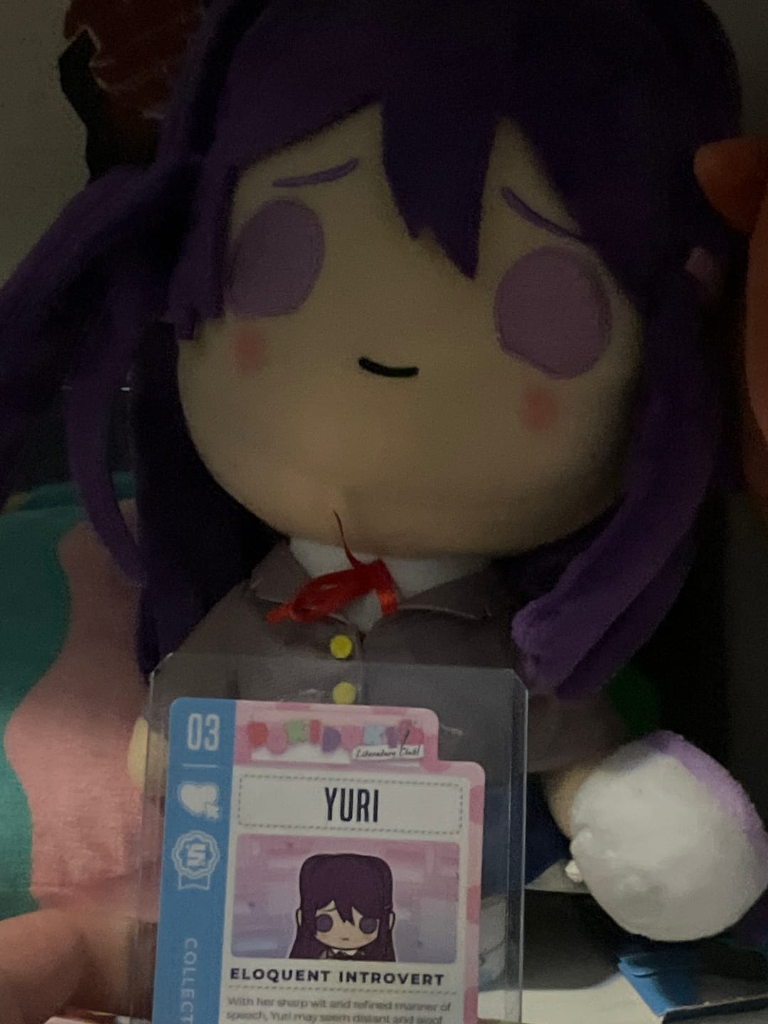 Customer photo review of Doki Doki Literature Club - Yuri Collector's Plush