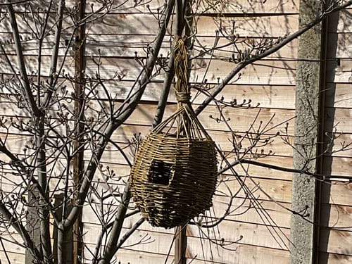Customer photo review of The Willow Bird Feeder - Course and Kit