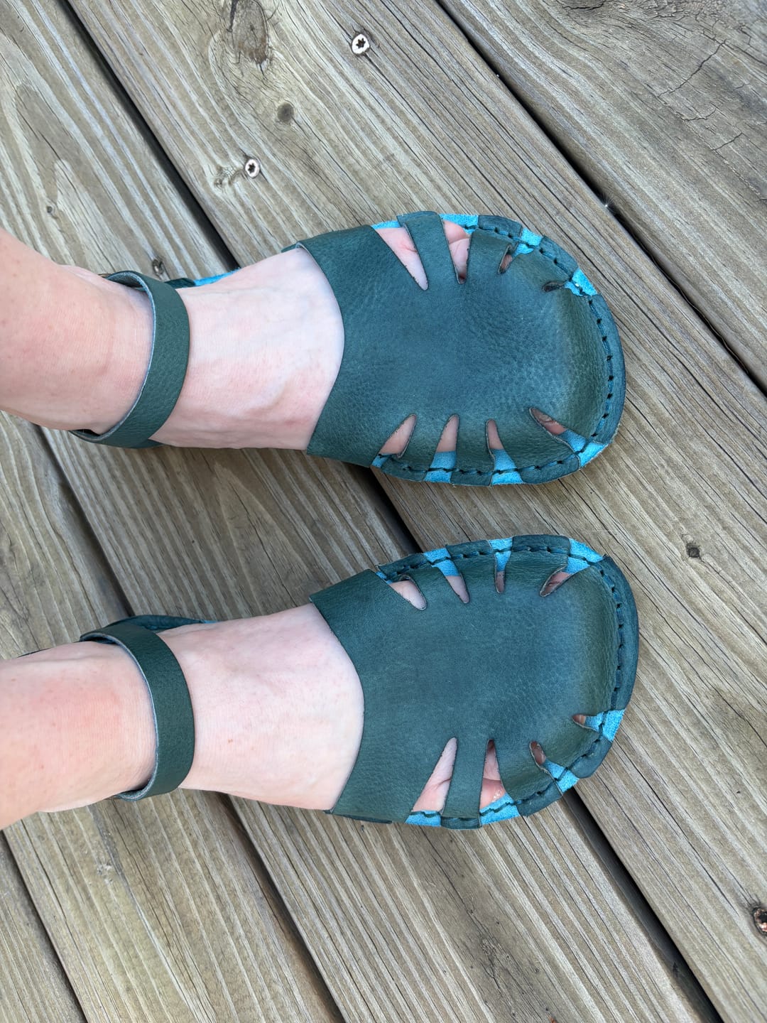Customer photo review of Monstera Volanato - Avion