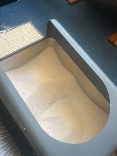 Customer photo review of 3 Month Supply - 1 Cat