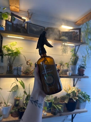Reviewer holding the amber Houseplant Pest Spray bottle, releasing a fine mist towards plants on shelves.