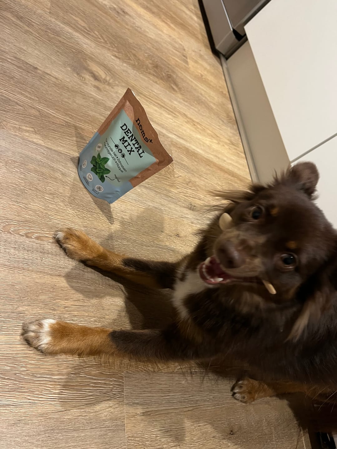 Customer photo review of Dentalmix für Hunde zur Zahnpflege und für frischen Atem