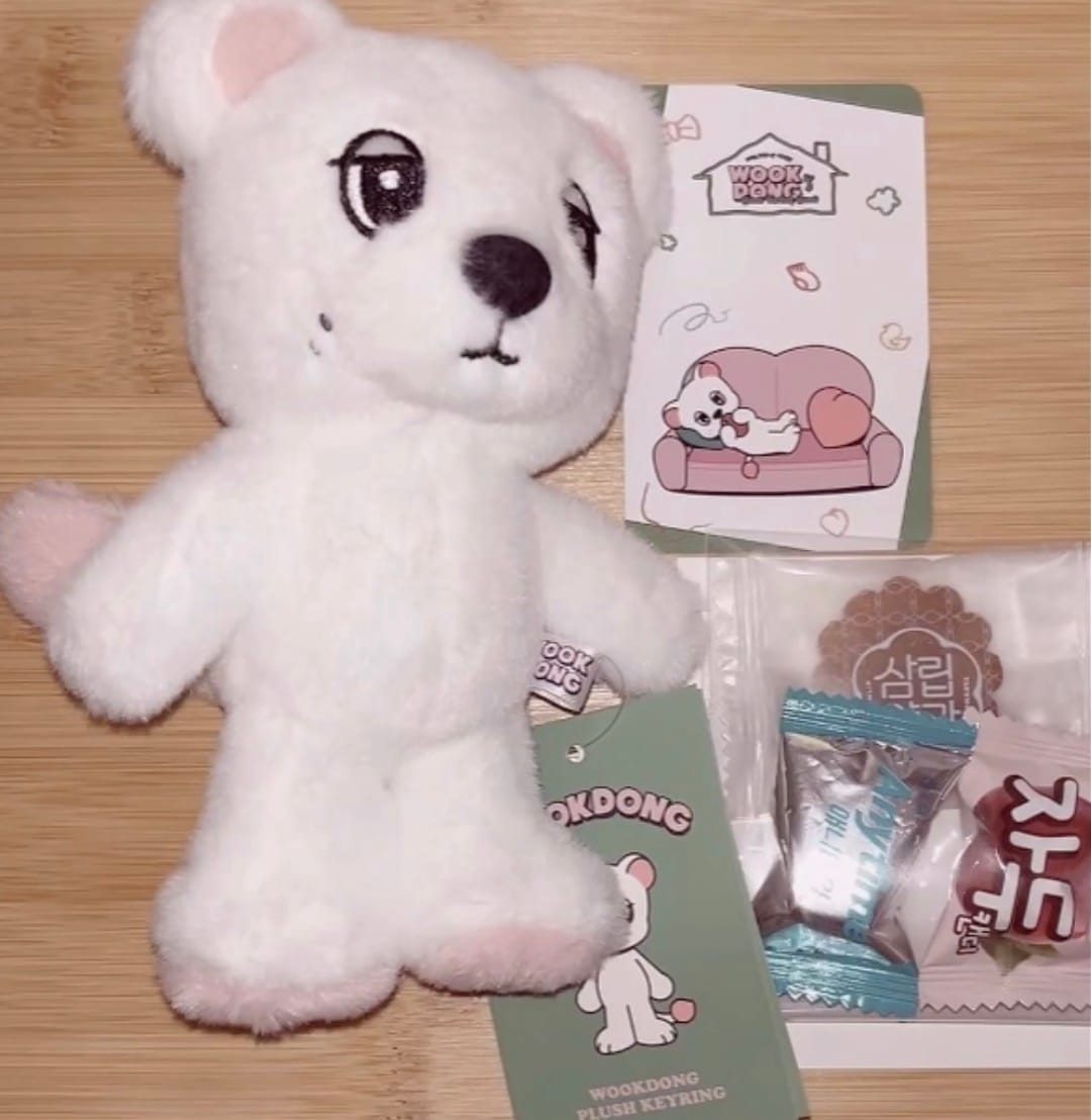Customer photo review of LEE DONG WOOK [WOOKDONG’s Home Sweet Home] Wookdong Plush Keyring
