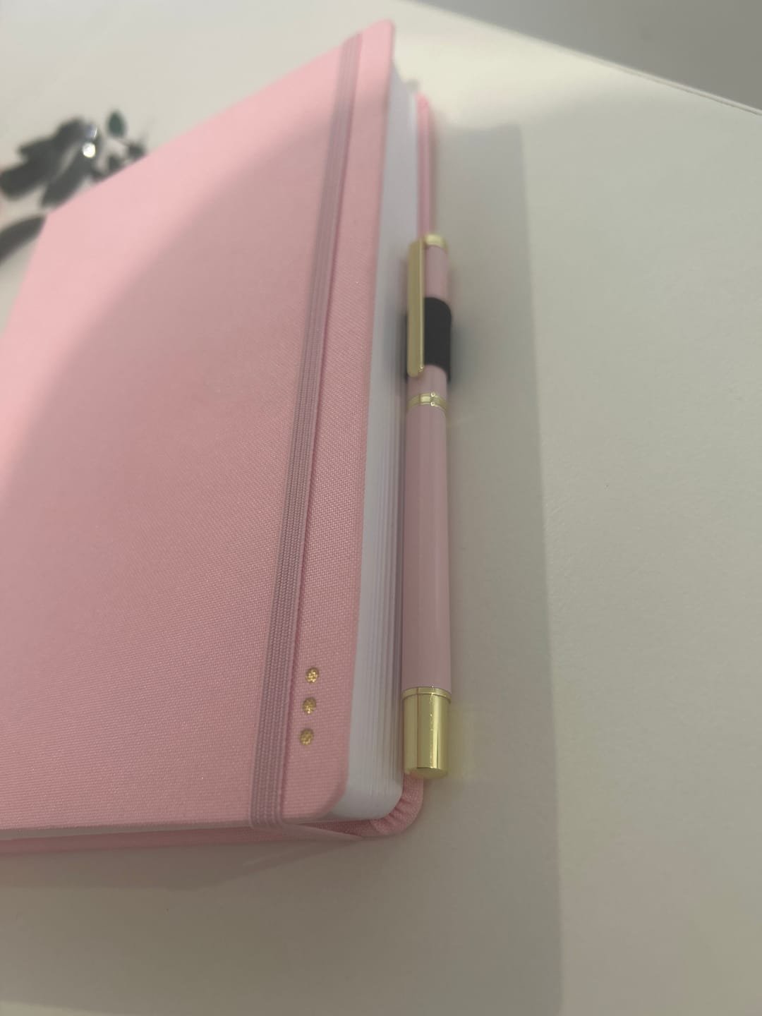 Customer photo review of The Essential Pen Pack GOLD