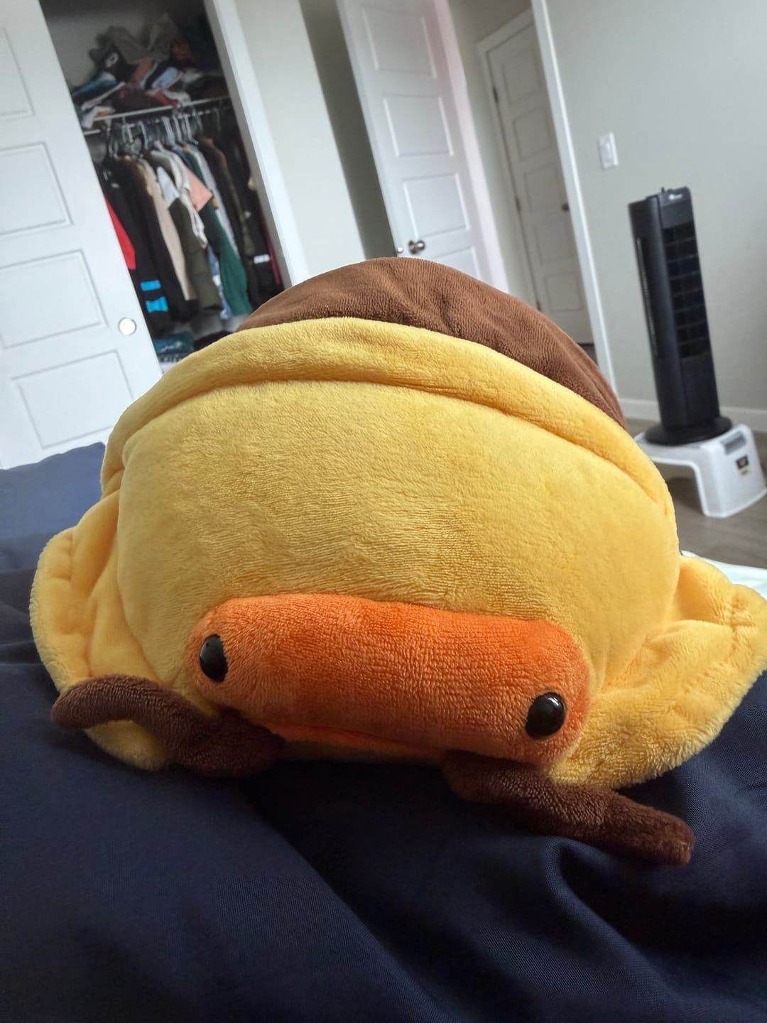 Customer photo review of Rubber Ducky Isopod Soft Stuffed Plush Toy