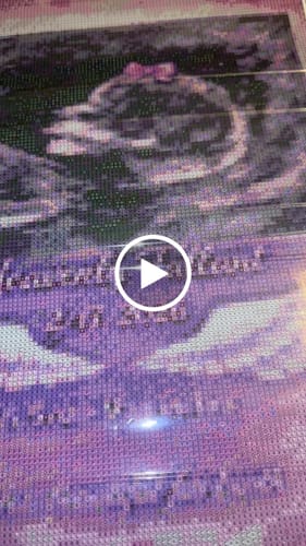 Customer video review of Custom Diamond Painting Kit