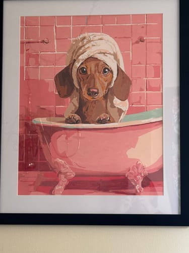 Customer's completed 'Dachshund in bath' paint-by-number artwork, framed and displayed on a wall.