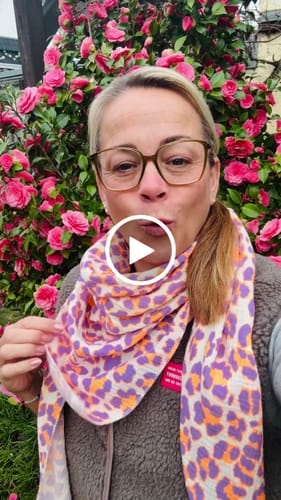 Customer video review of Musselintuch LEO TRIANGLE  - versch. Farben