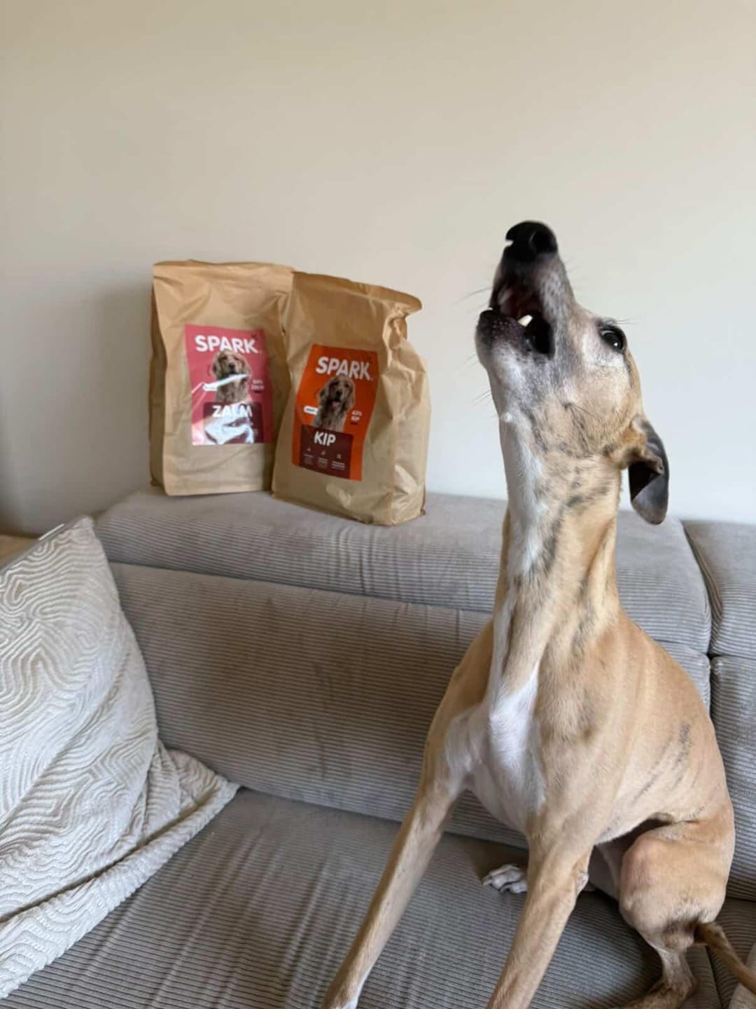 Customer photo review of V2.0 - Volwassen - Kip met Zoete Aardappel