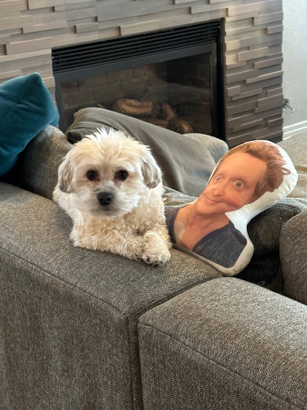 Customer photo review of Custom Shaped Pillow with Loved One Picture of Person/Pet Personalized 3d Photo Pillow