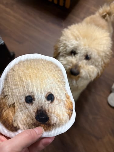 Customer photo review of 本物そっくり♪ペットフェイスバッグ