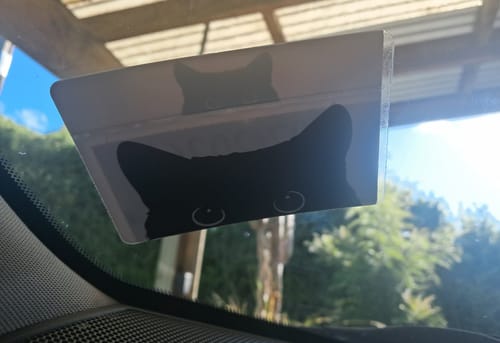 Customer photo review of Peek-a-cat
