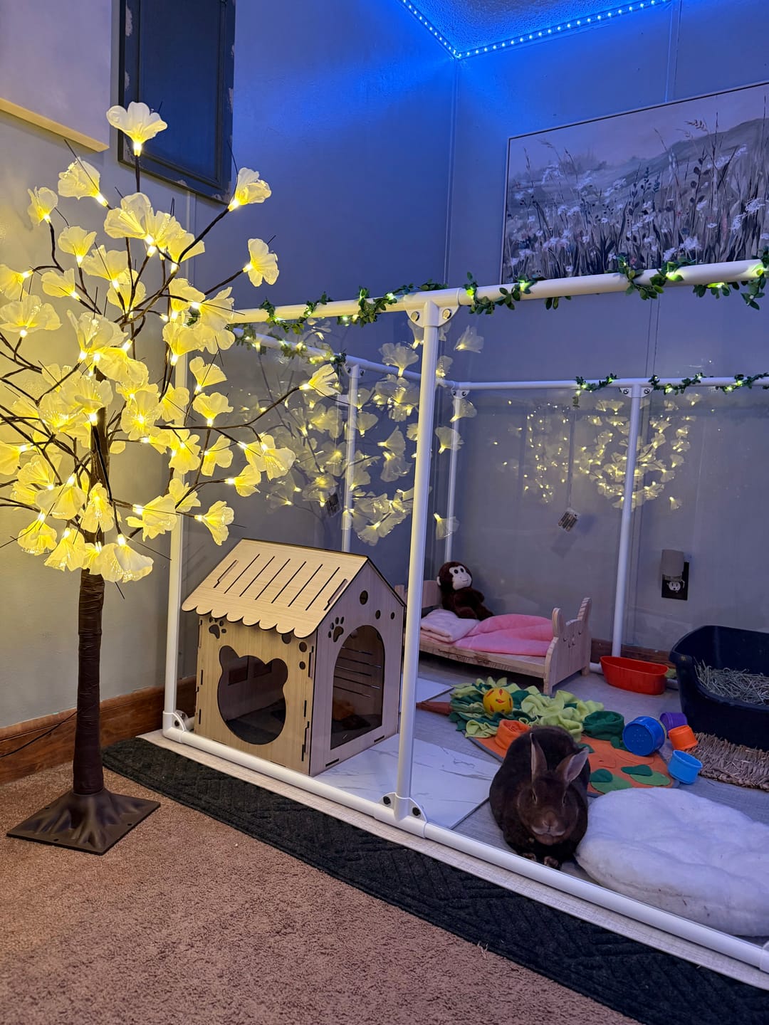 Customer photo review of 36" Tall Medium Lucidium Pet Pen
