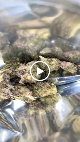 Customer video review of Dank Dynasty Exotic THCA Flower