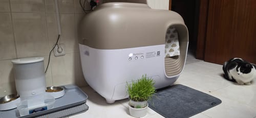 Customer photo review of Self-Cleaning Litter Box