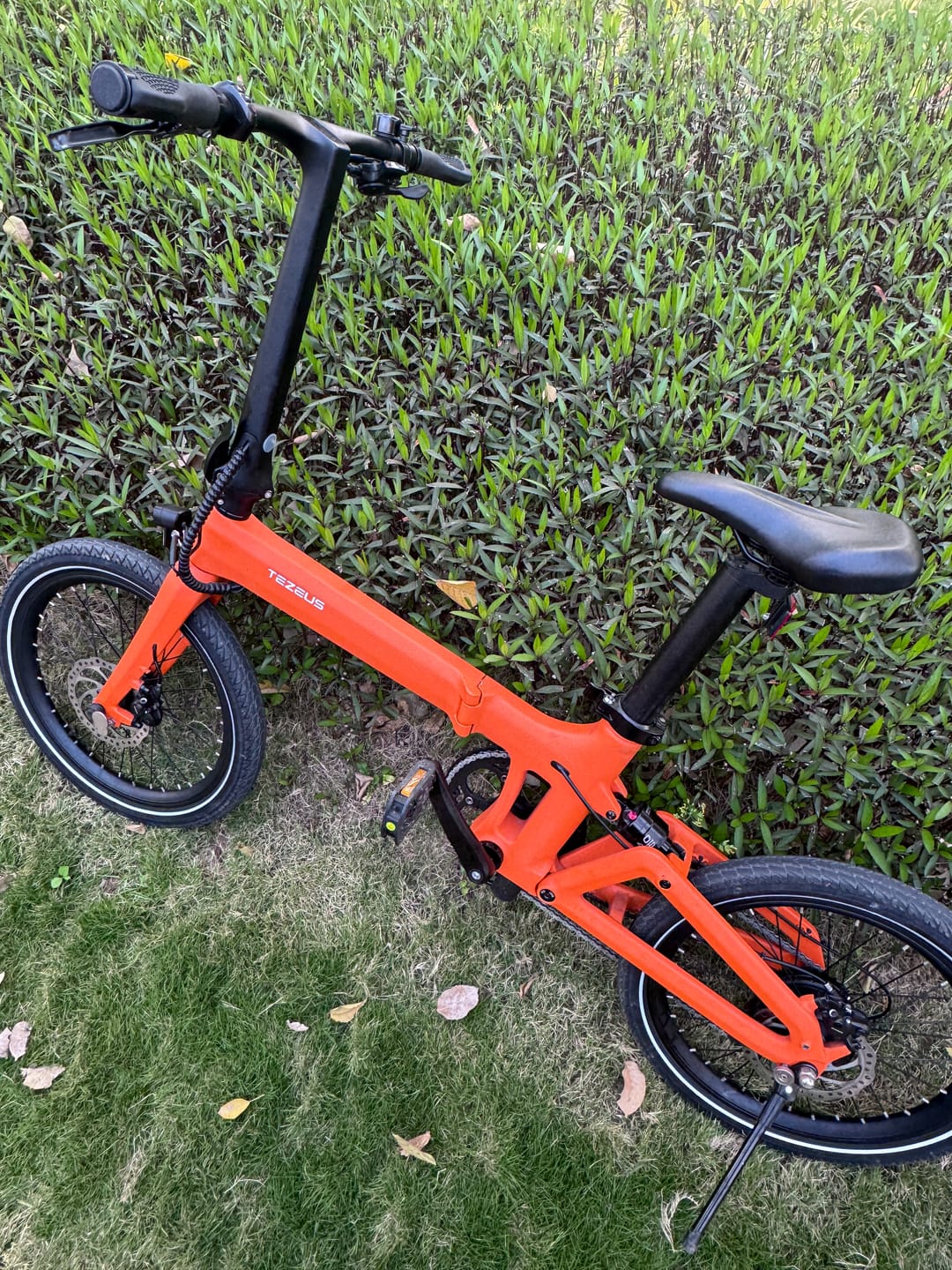 Customer photo review of Tezeus Swift