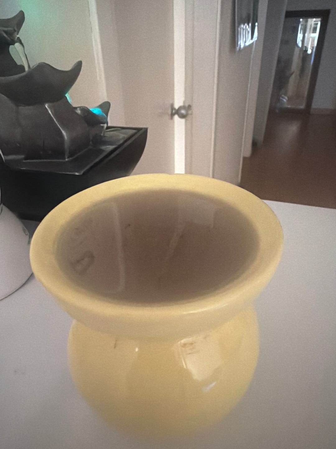 Customer photo review of ALOE VERA Y LAVANDA - Gel wax melt
