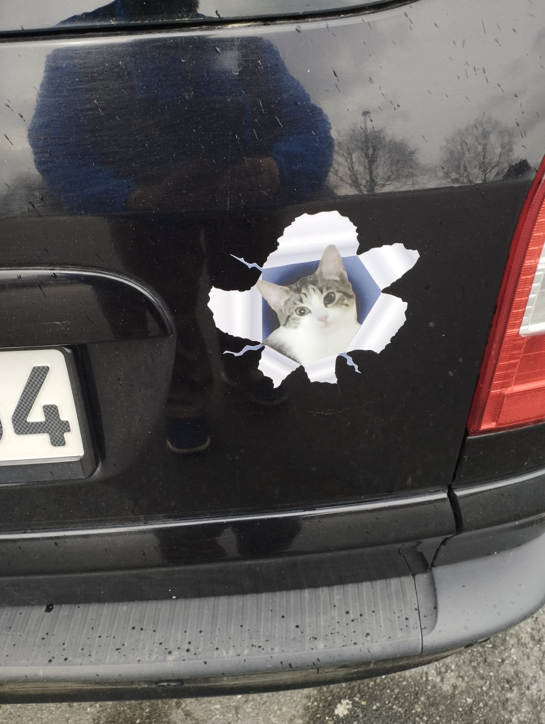 Customer photo review of Personalisierter Autoaufkleber - Spähendes Foto