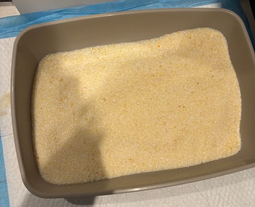 Customer photo review of 3 Month Supply - 3 Cat