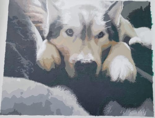 Customer photo review of Custom Paint By Numbers - Personalized Pet Portraits
