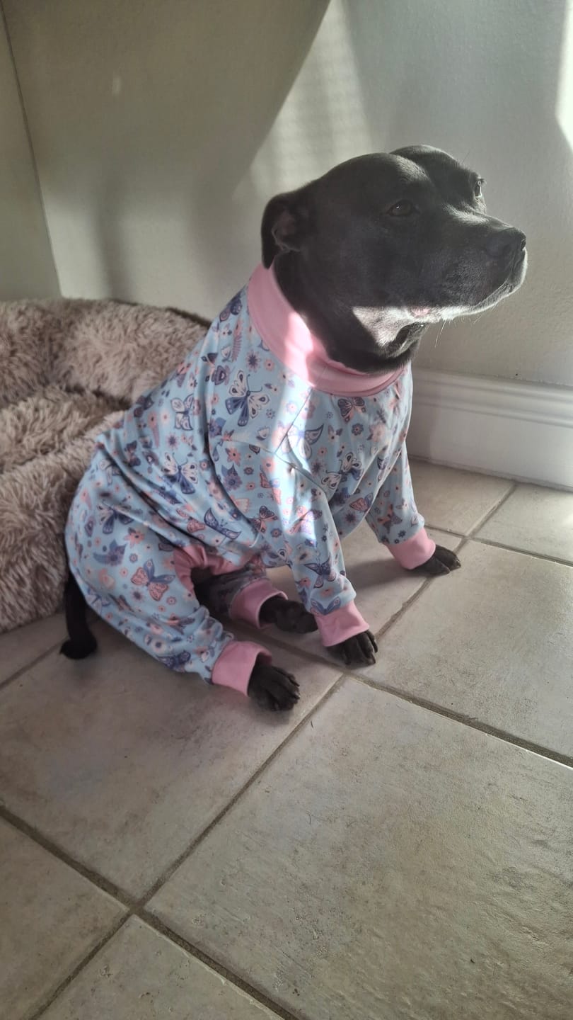 Customer photo review of Dog Pajama - Butterfly