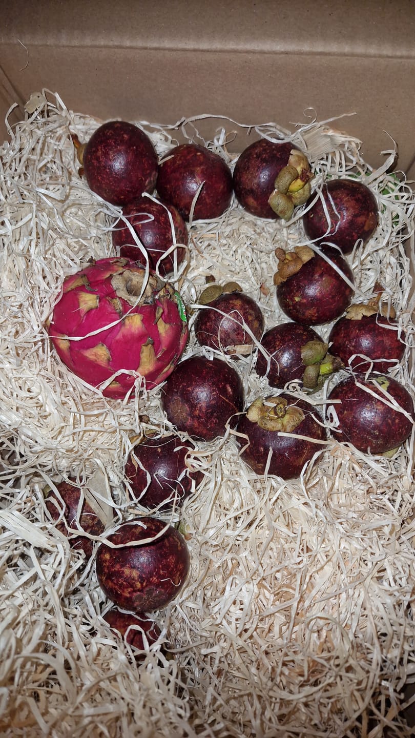 Customer photo review of Mangostan von Juan 1,5kg Box Sonderaktion %