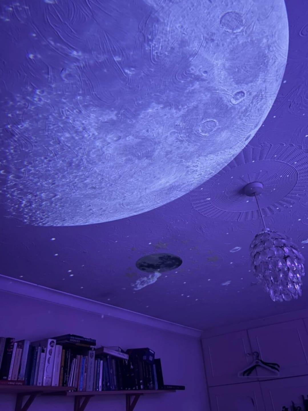Customer photo review of Galaxy Projector 2.0 – The Ultimate Night Sky Experience
