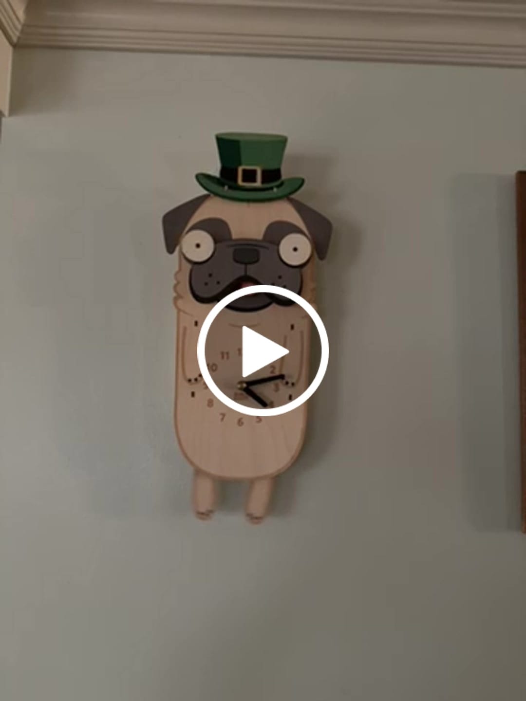 Customer video review of Chuck's Pirate Outfit