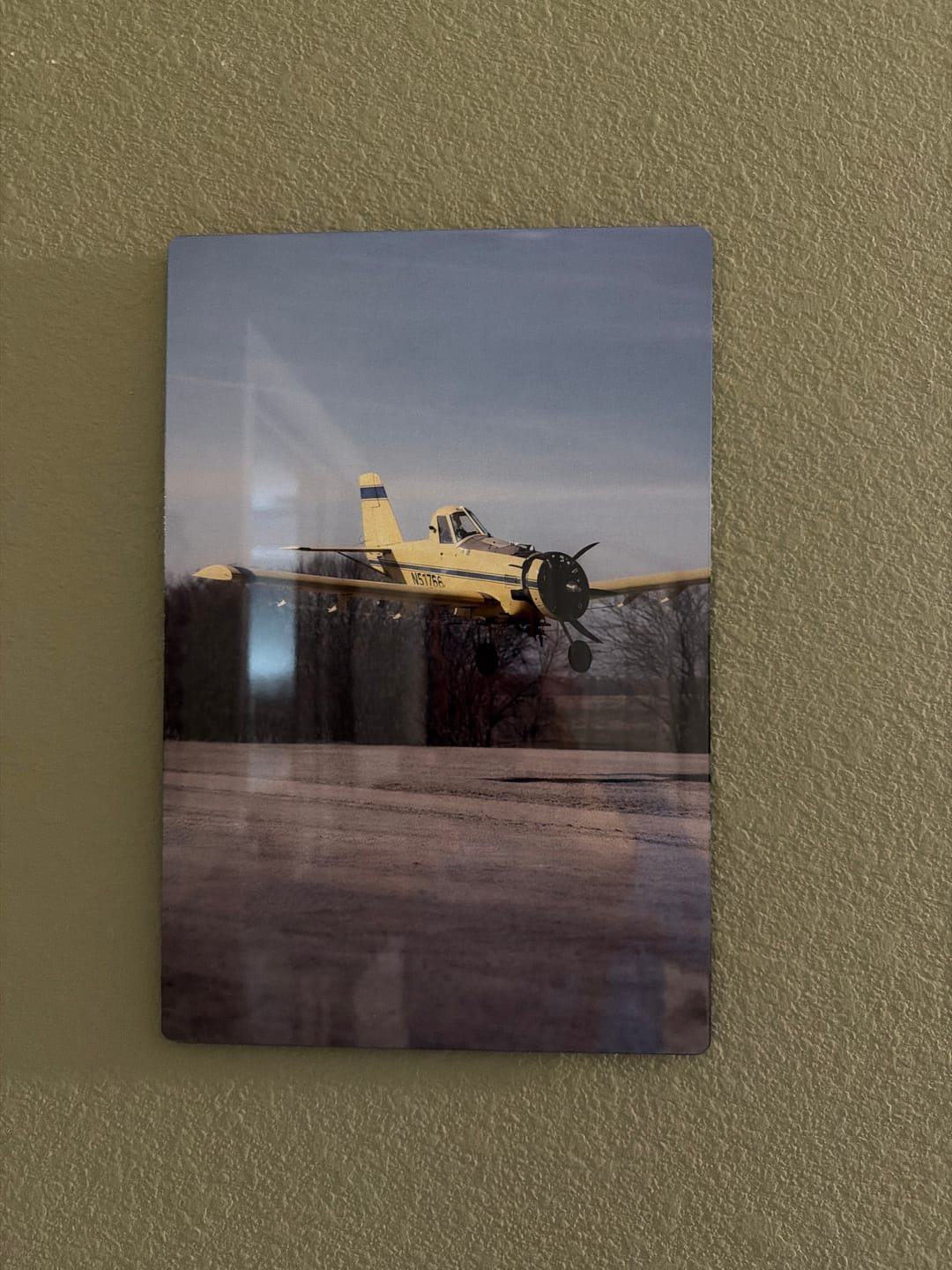 Customer photo review of 1. Your Customized Photo