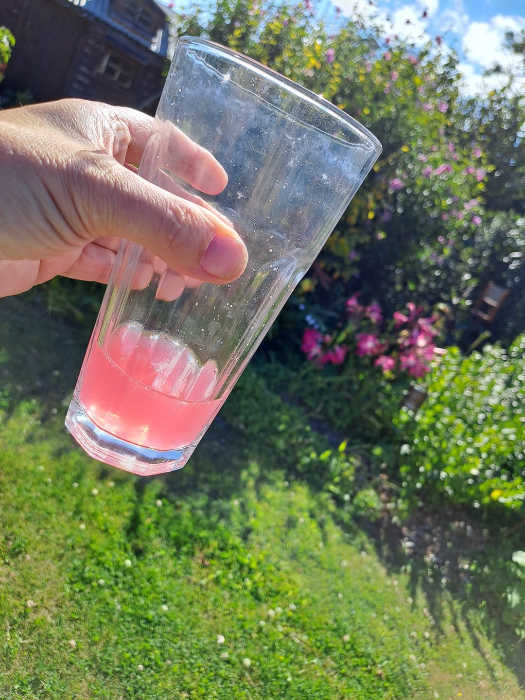 Customer photo review of Strawberry Watermelon
