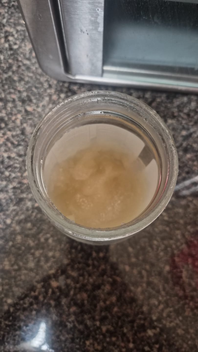 Customer photo review of EXCLUSIVE GOLD SEA MOSS GEL