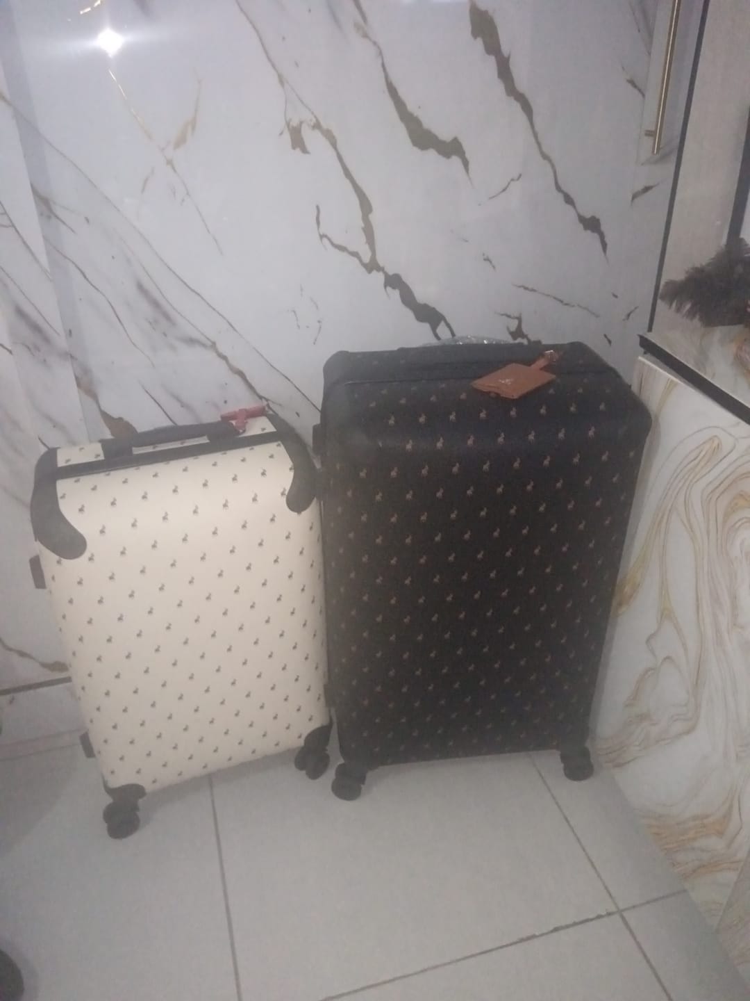 Customer photo review of Double Pack 75cm Large Check-In