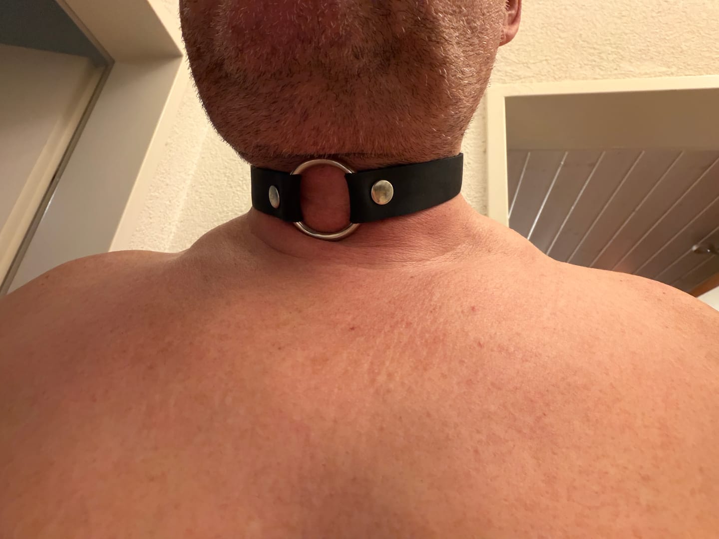Customer photo review of SiaLinda: Halsband RingO mit großem O- Ring Edelstahl, aus italienischem Latigo Leder